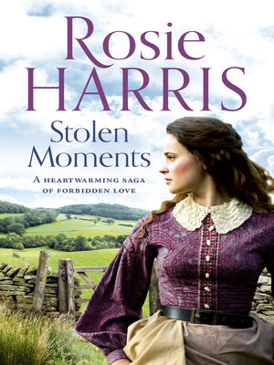 cover image of Stolen Moments